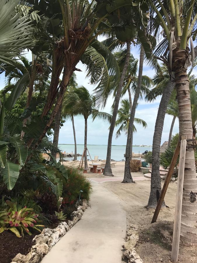 Kona Kai Resort And Gallery (Adults Only) คีย์ลาร์โก ภายนอก รูปภาพ